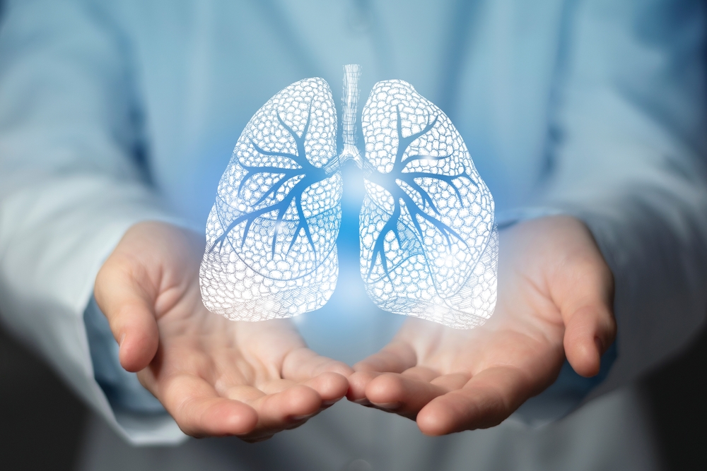 Image of Lungs shutterstock_2116462388